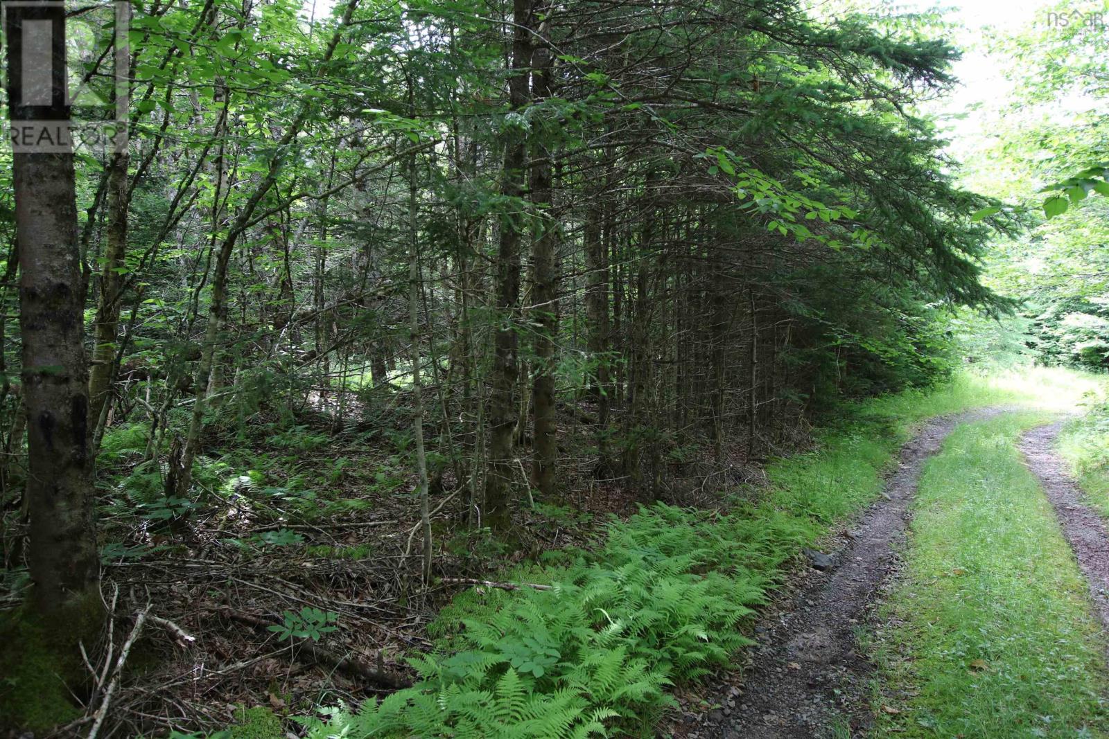 Lot 1 Birch Road Branch, Ogden, Nova Scotia  B0H 1N0 - Photo 5 - 202517368