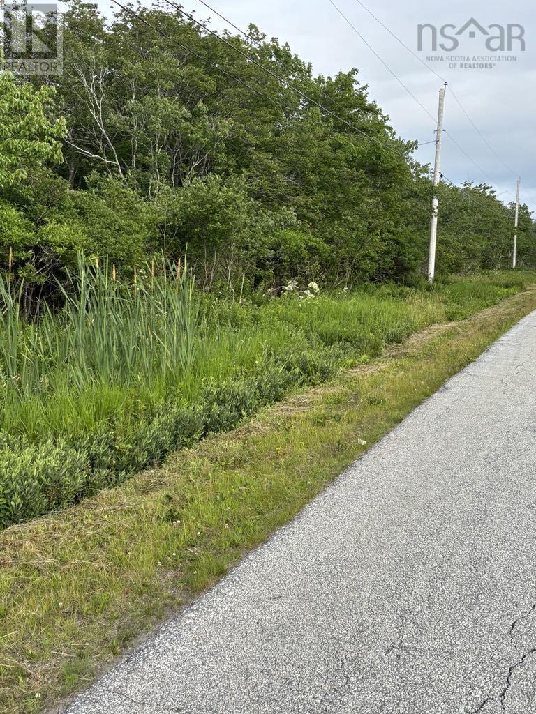 Highway 1, Church Point, Nova Scotia  B0W 1M0 - Photo 7 - 202517396