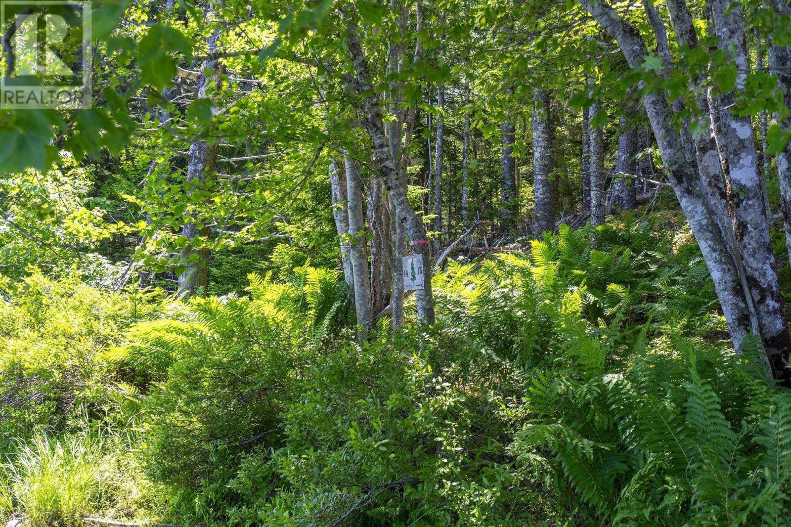 14 Killiam Forest Road, Ireton, Nova Scotia  B5A 5L5 - Photo 28 - 202517403