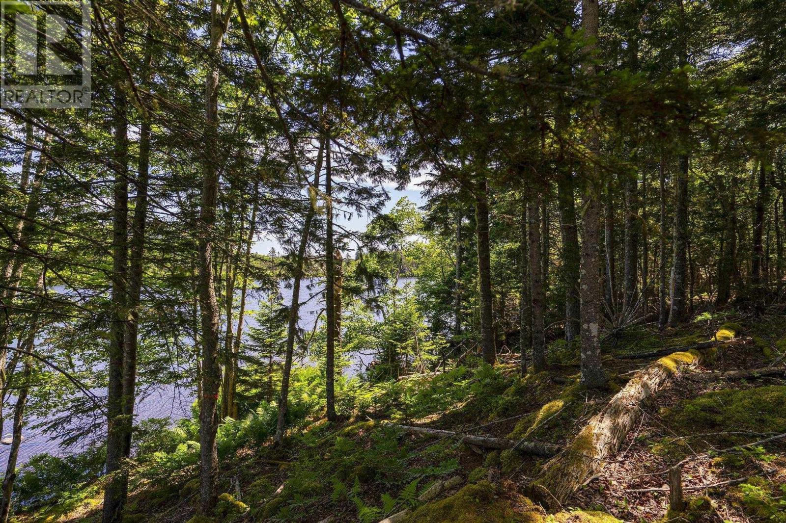 14 Killiam Forest Road, Ireton, Nova Scotia  B5A 5L5 - Photo 32 - 202517403