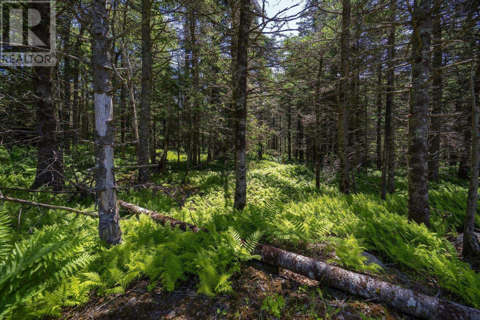 14 Killiam Forest Road, Ireton, Nova Scotia  B5A 5L5 - Photo 34 - 202517403