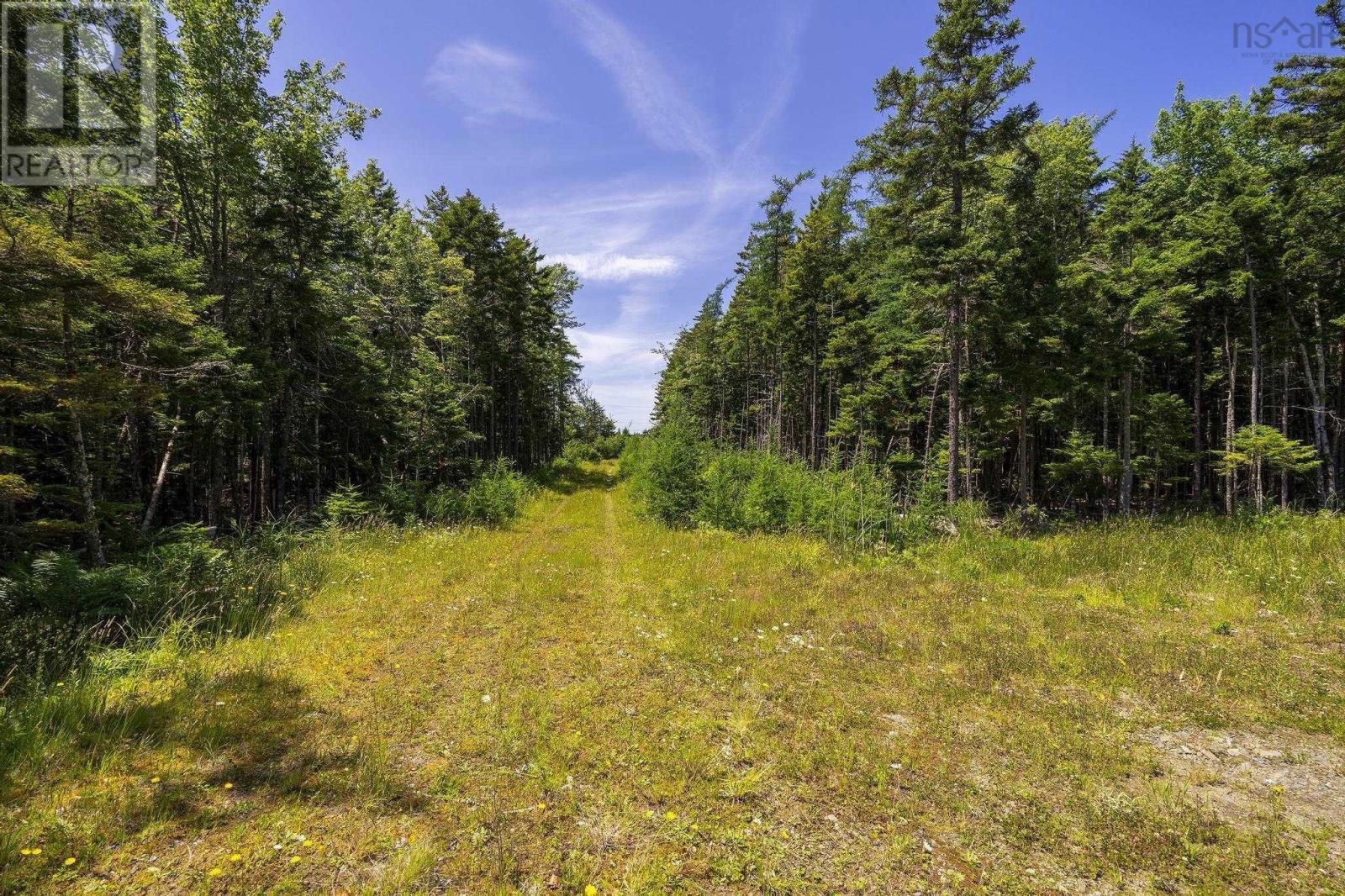 14 Killiam Forest Road, Ireton, Nova Scotia  B5A 5L5 - Photo 40 - 202517403