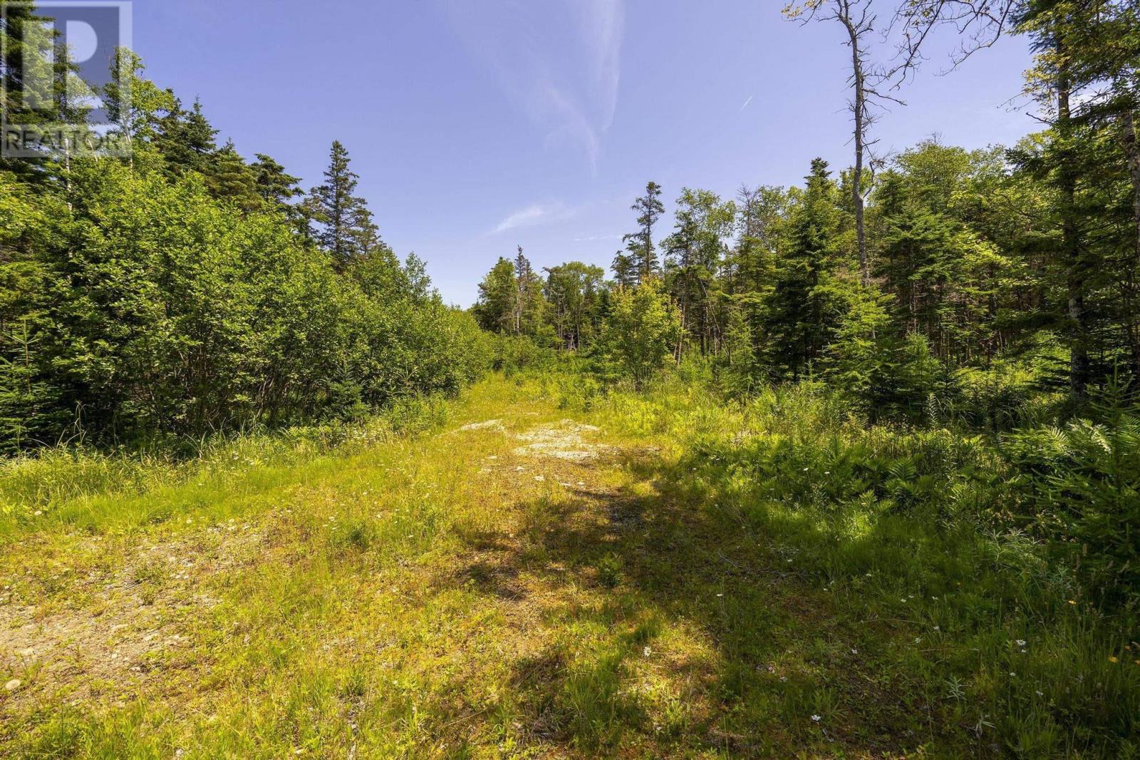 14 Killiam Forest Road, Ireton, Nova Scotia  B5A 5L5 - Photo 41 - 202517403