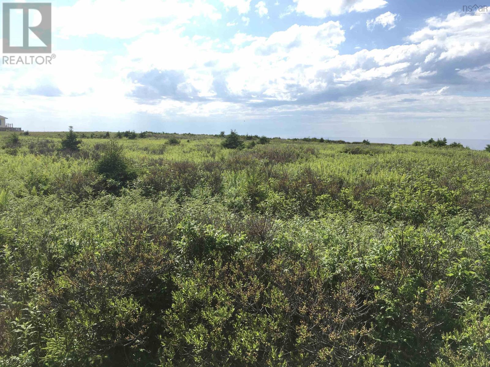Cabot Trail, Cap Le Moine, Nova Scotia  B0E 3A0 - Photo 10 - 202517501