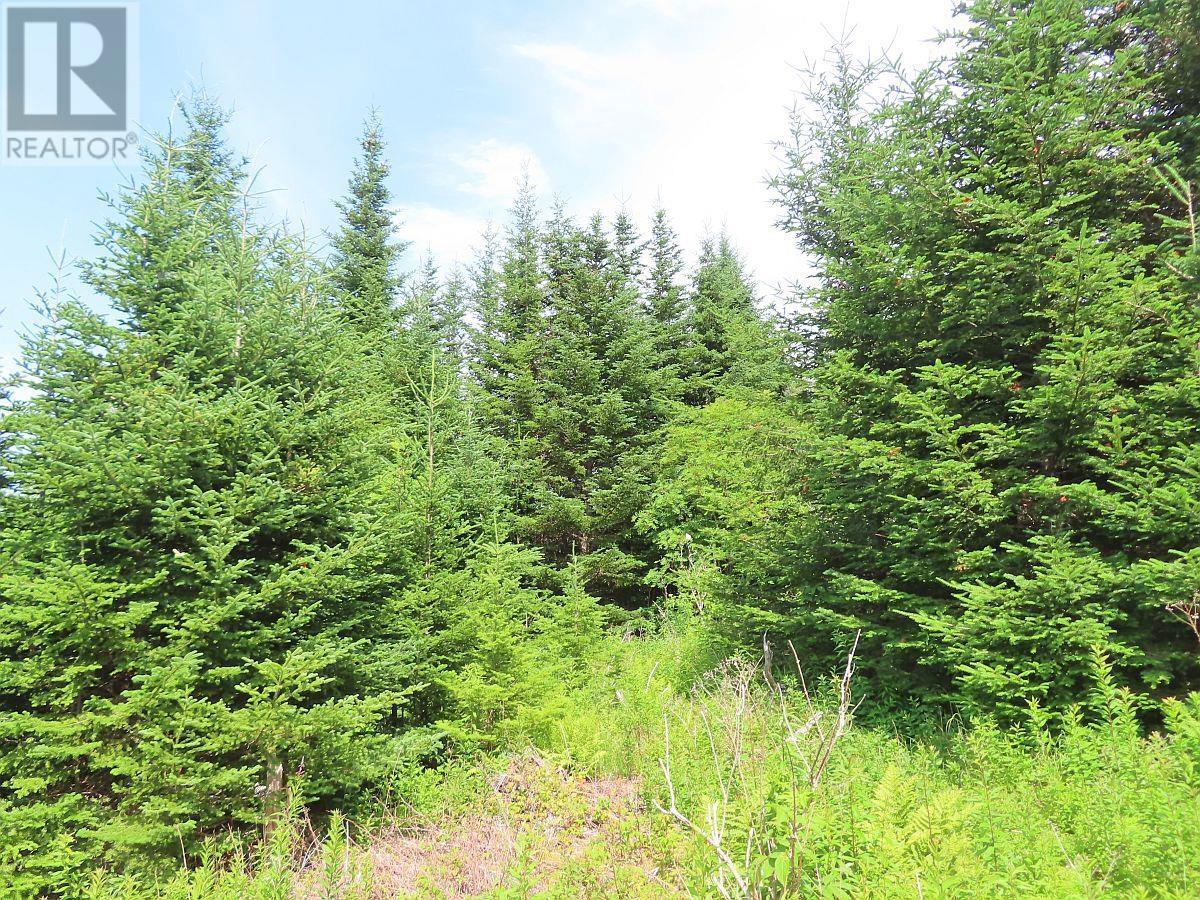 Lot 3 Rear Big Cove Road, Soldiers Cove, Nova Scotia  B0E 3B0 - Photo 36 - 202517506