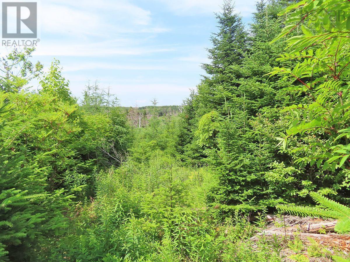 Lot 3 Rear Big Cove Road, Soldiers Cove, Nova Scotia  B0E 3B0 - Photo 37 - 202517506