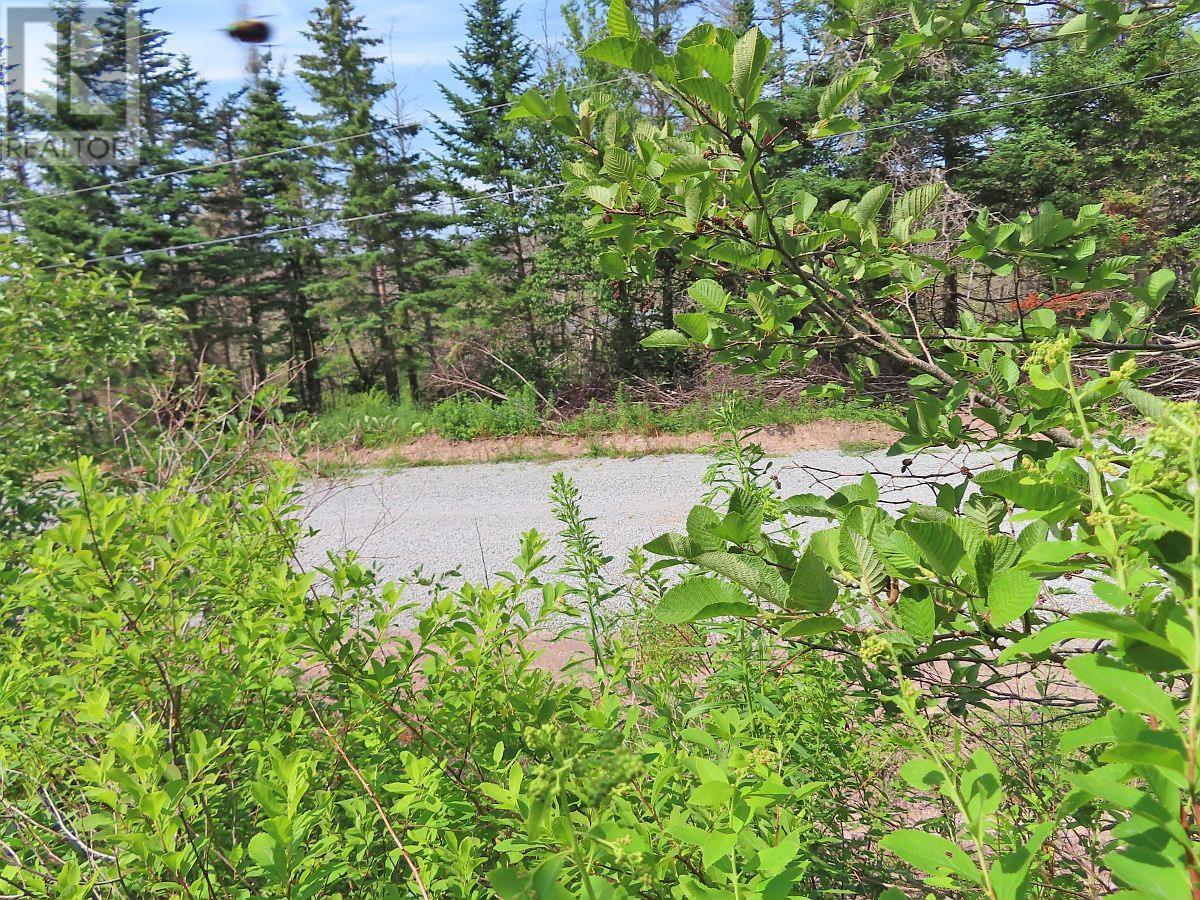 Lot 3 Rear Big Cove Road, Soldiers Cove, Nova Scotia  B0E 3B0 - Photo 39 - 202517506