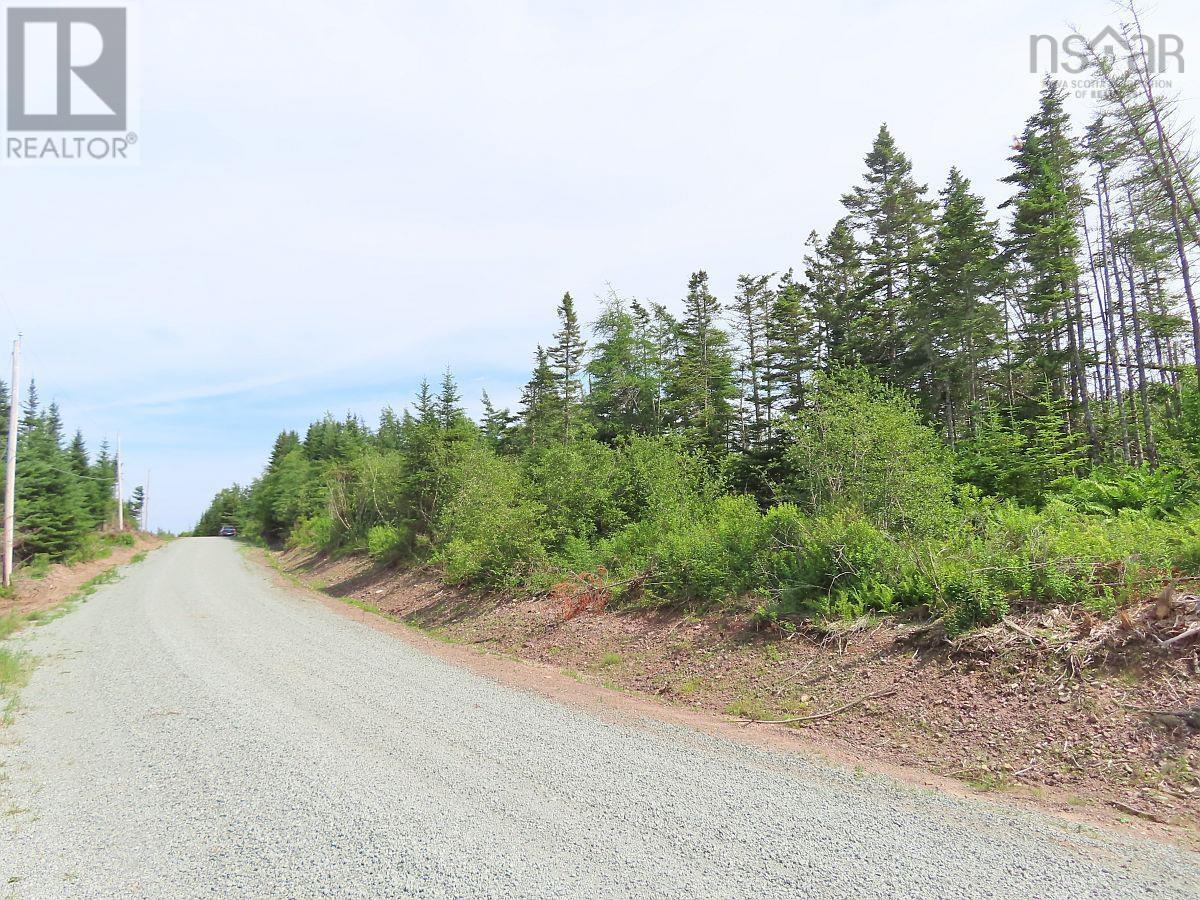 Lot 3 Rear Big Cove Road, Soldiers Cove, Nova Scotia  B0E 3B0 - Photo 44 - 202517506