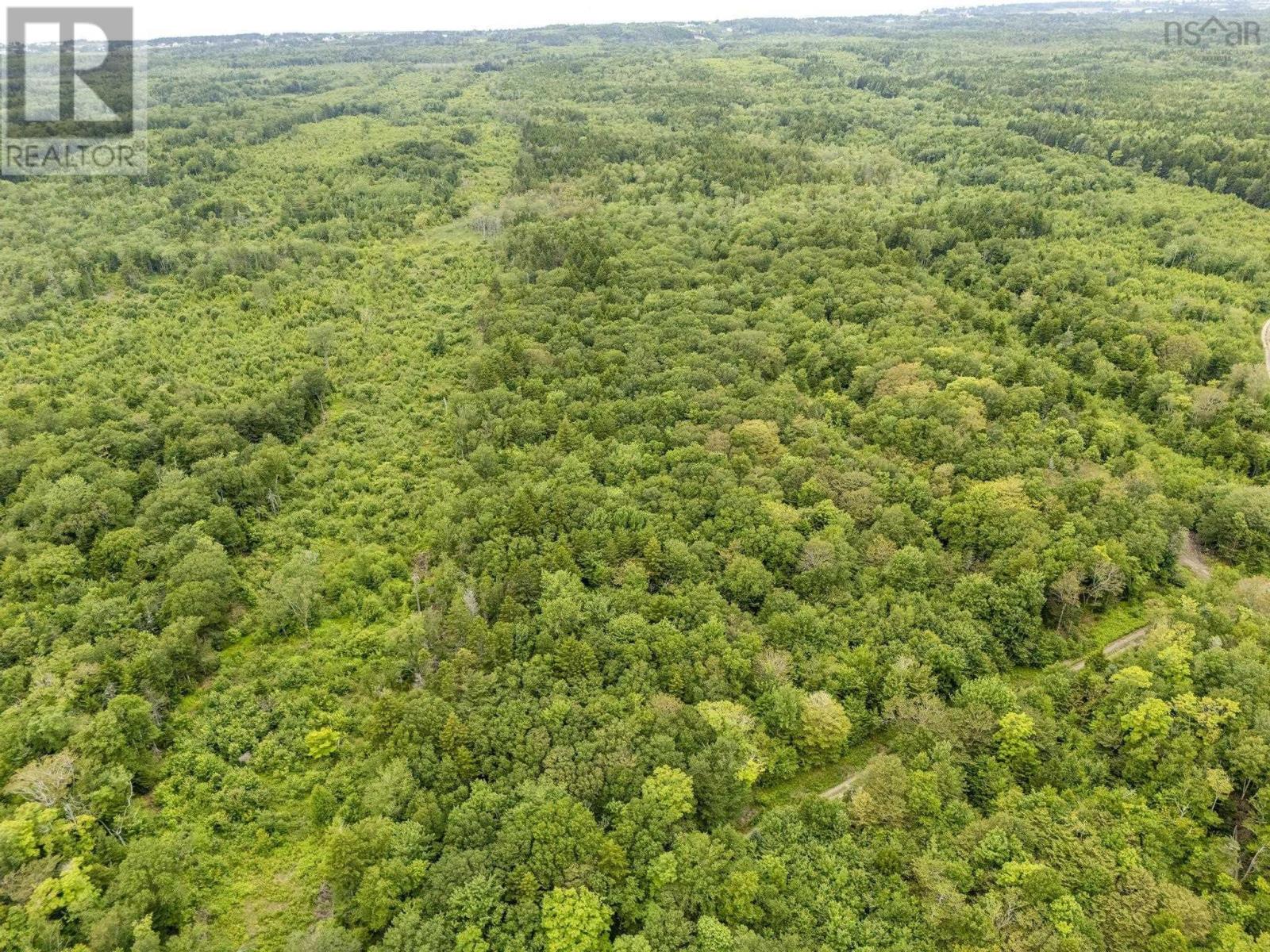 Lot 1 Highway 1, Grosses Coques, Nova Scotia  B0W 1M0 - Photo 10 - 202517554