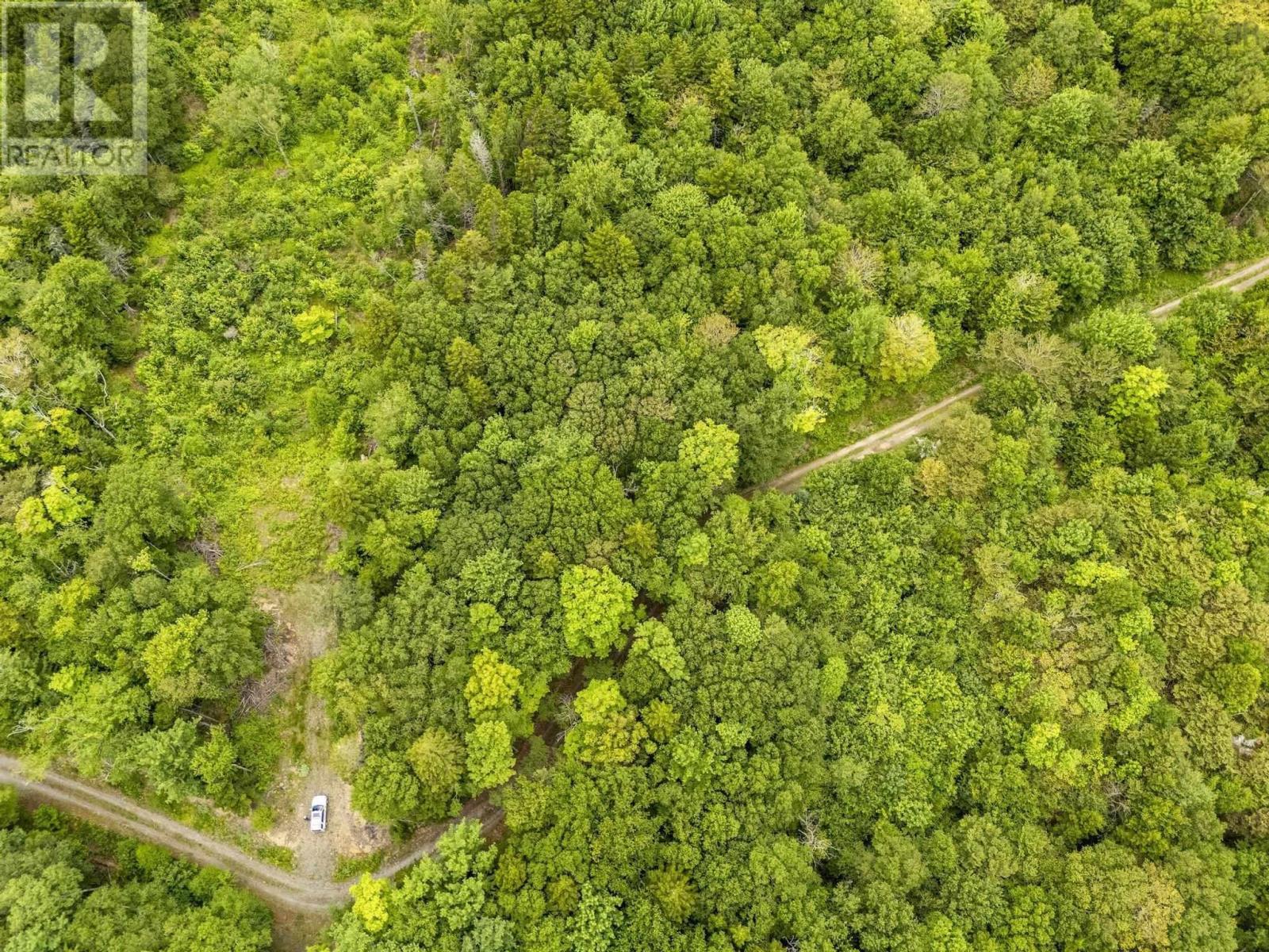 Lot 1 Highway 1, Grosses Coques, Nova Scotia  B0W 1M0 - Photo 11 - 202517554