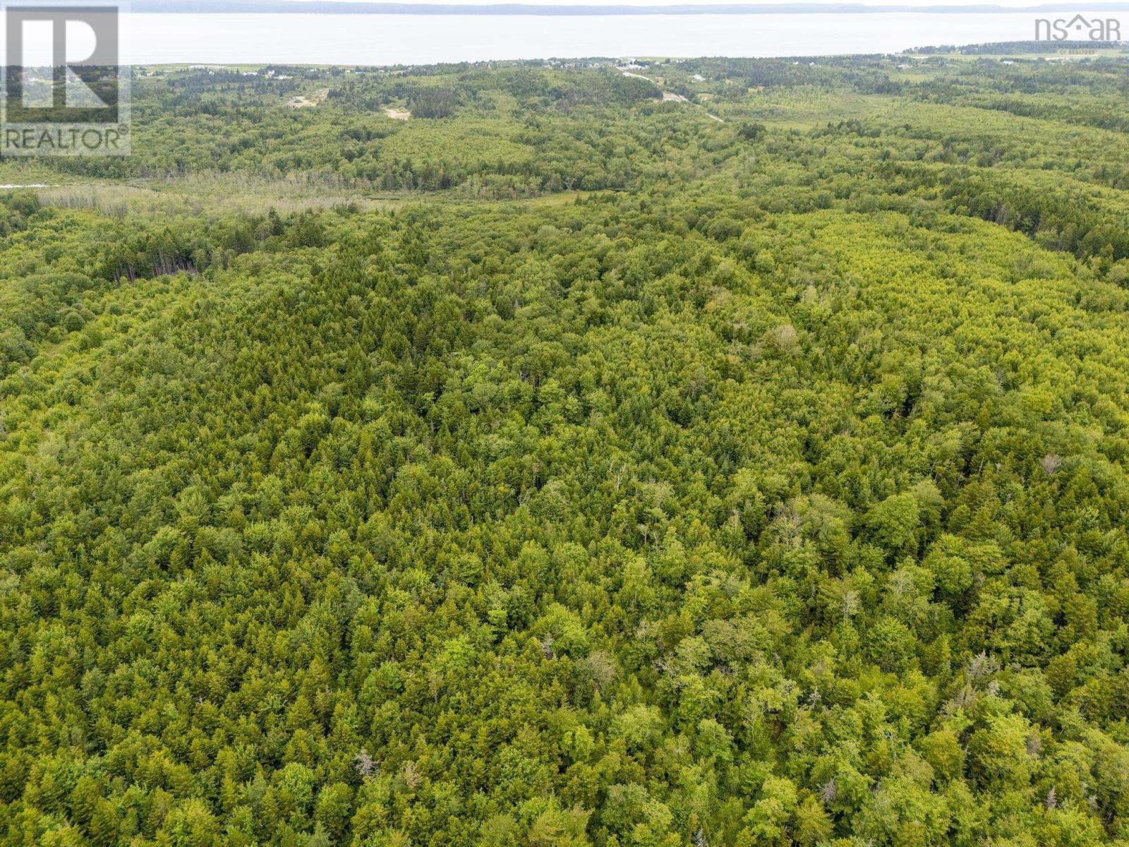 Lot 1 Highway 1, Grosses Coques, Nova Scotia  B0W 1M0 - Photo 2 - 202517554