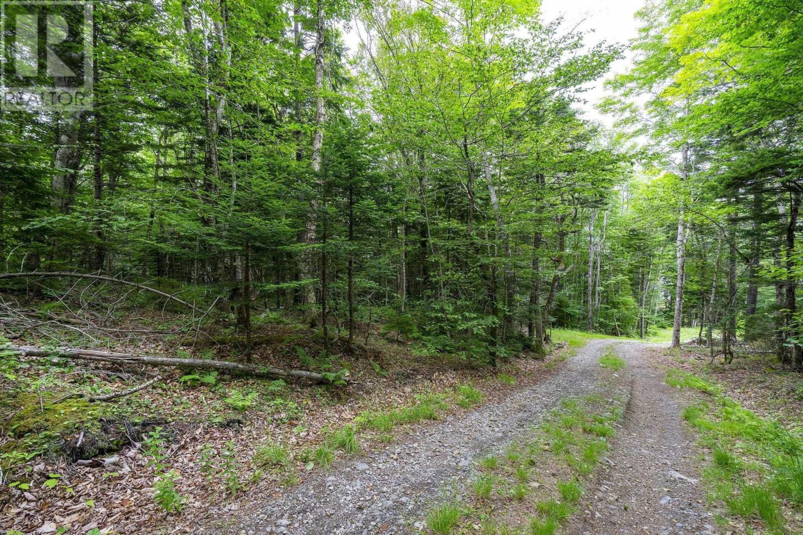 Lot 1 Highway 1, Grosses Coques, Nova Scotia  B0W 1M0 - Photo 34 - 202517554