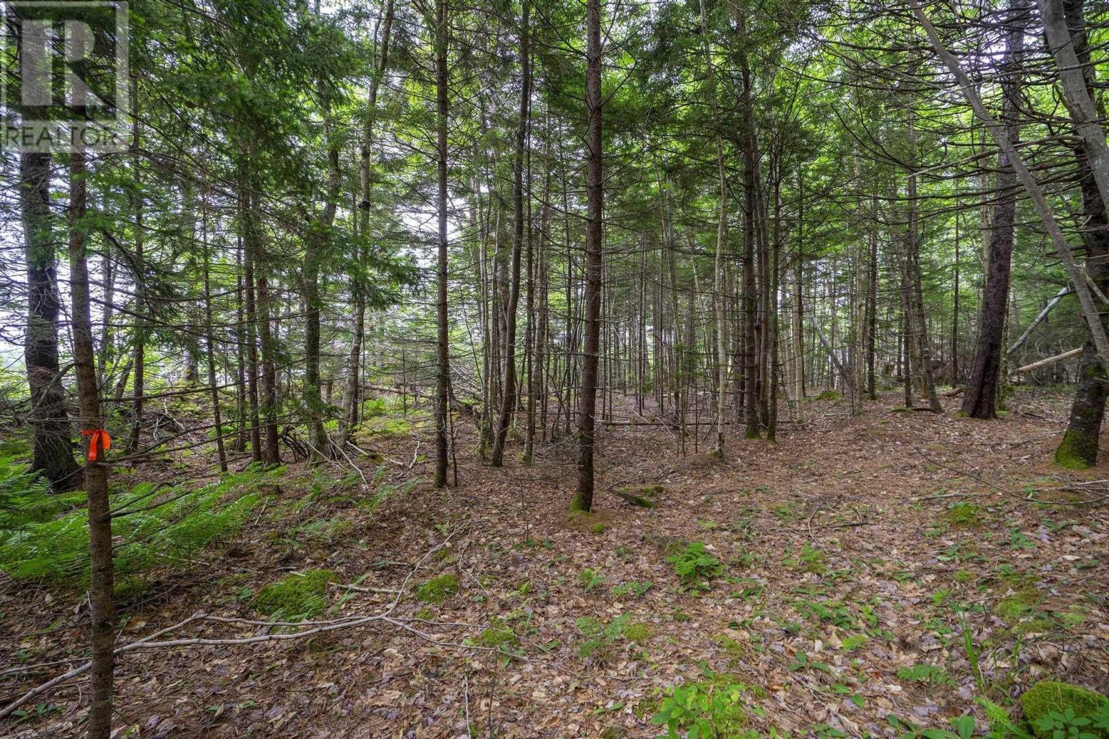 Lot 1 Highway 1, Grosses Coques, Nova Scotia  B0W 1M0 - Photo 37 - 202517554