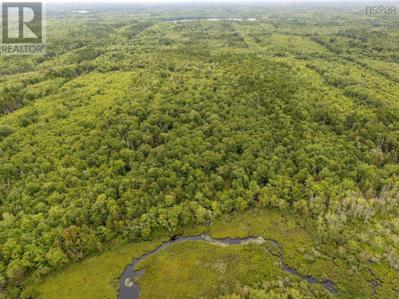 Lot 1 Highway 1, Grosses Coques, Nova Scotia  B0W 1M0 - Photo 4 - 202517554