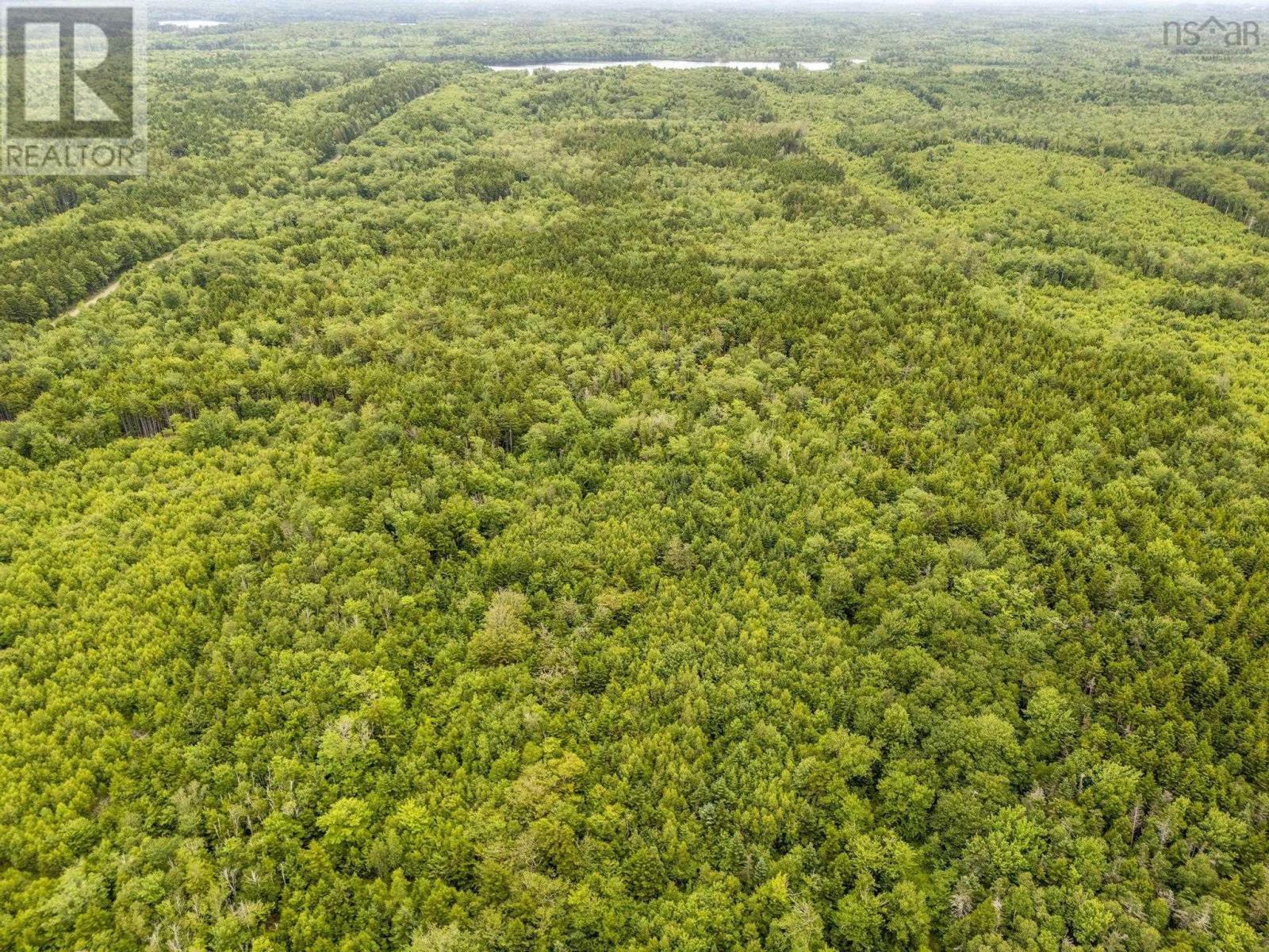 Lot 1 Highway 1, Grosses Coques, Nova Scotia  B0W 1M0 - Photo 5 - 202517554