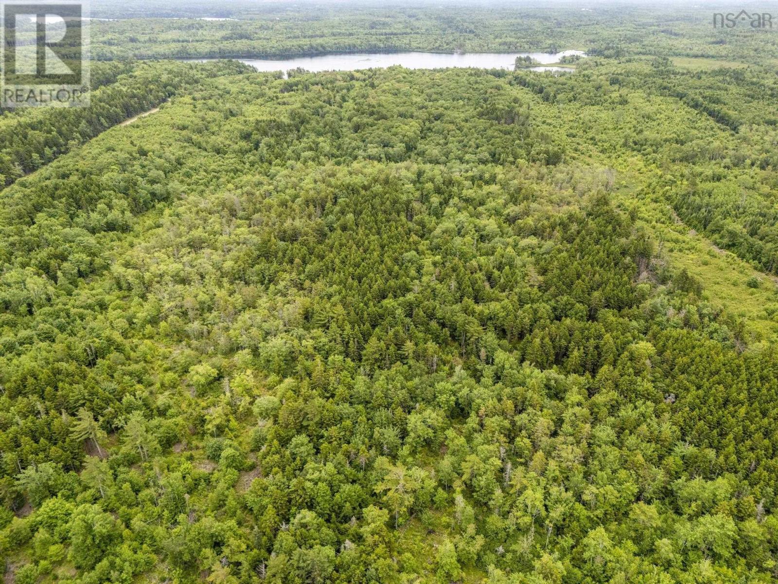 Lot 1 Highway 1, Grosses Coques, Nova Scotia  B0W 1M0 - Photo 7 - 202517554