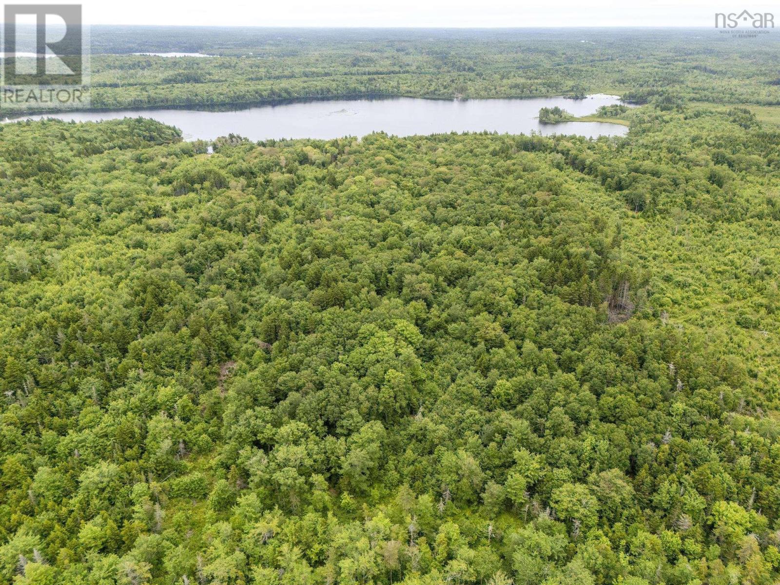 Lot 1 Highway 1, Grosses Coques, Nova Scotia  B0W 1M0 - Photo 8 - 202517554