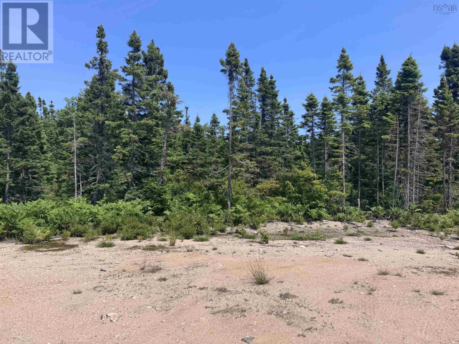 4 Cabot Trail, Ingonish, Nova Scotia  B0C 1K0 - Photo 9 - 202517566