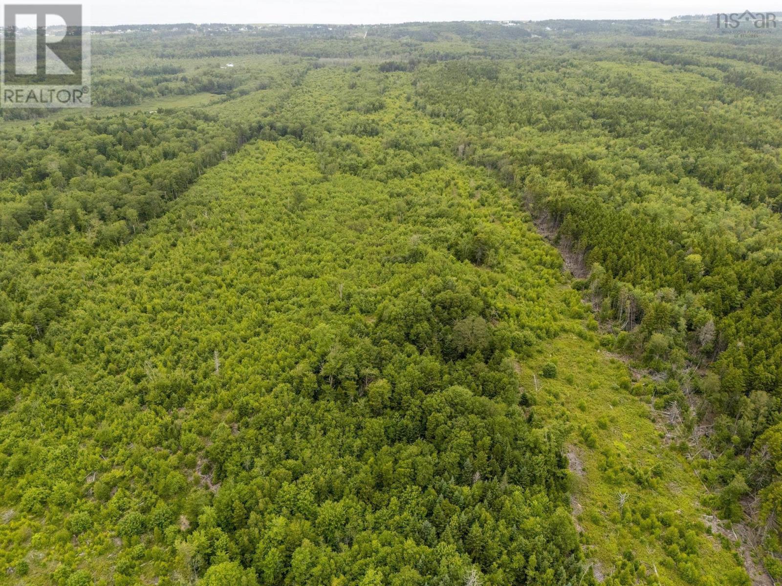 Lot 4 Highway 1, Grosses Coques, Nova Scotia  B0W 1M0 - Photo 17 - 202517595