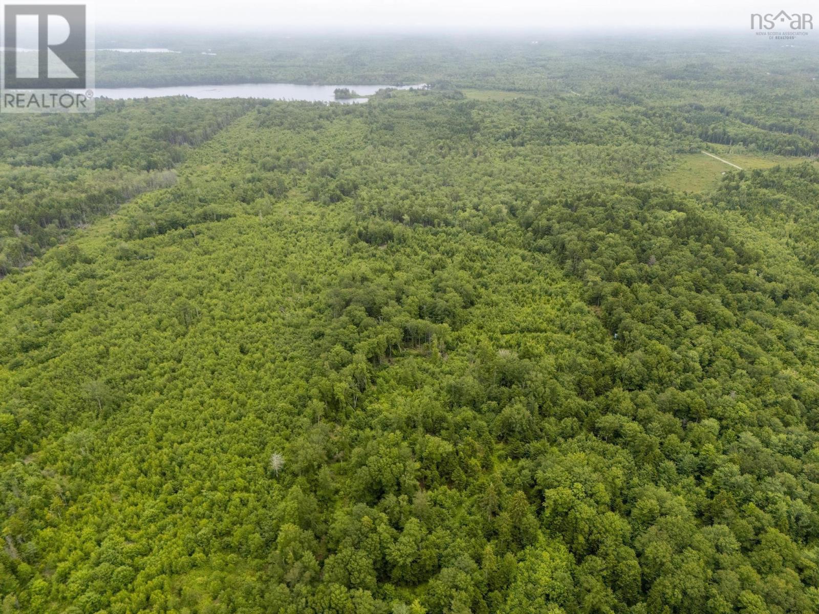 Lot 4 Highway 1, Grosses Coques, Nova Scotia  B0W 1M0 - Photo 24 - 202517595