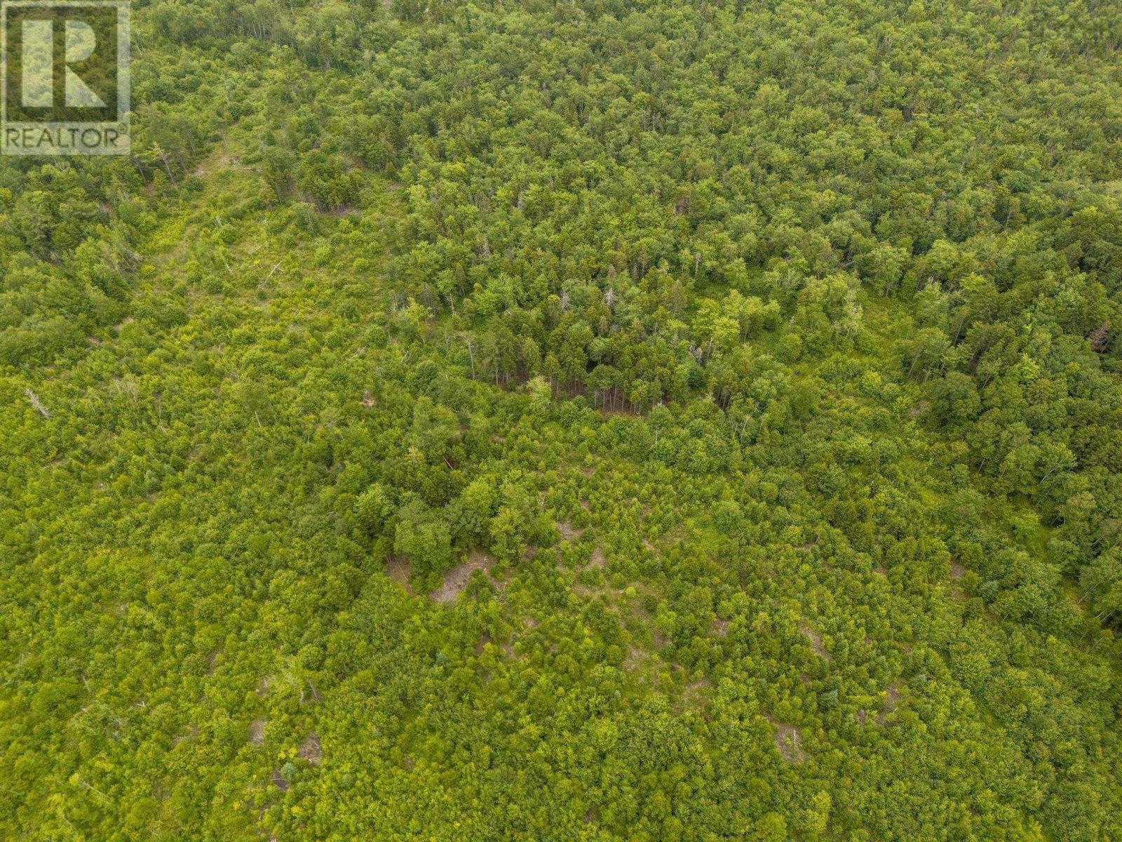 Lot 4 Highway 1, Grosses Coques, Nova Scotia  B0W 1M0 - Photo 25 - 202517595