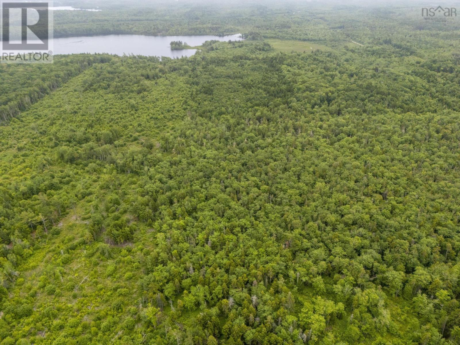 Lot 4 Highway 1, Grosses Coques, Nova Scotia  B0W 1M0 - Photo 26 - 202517595