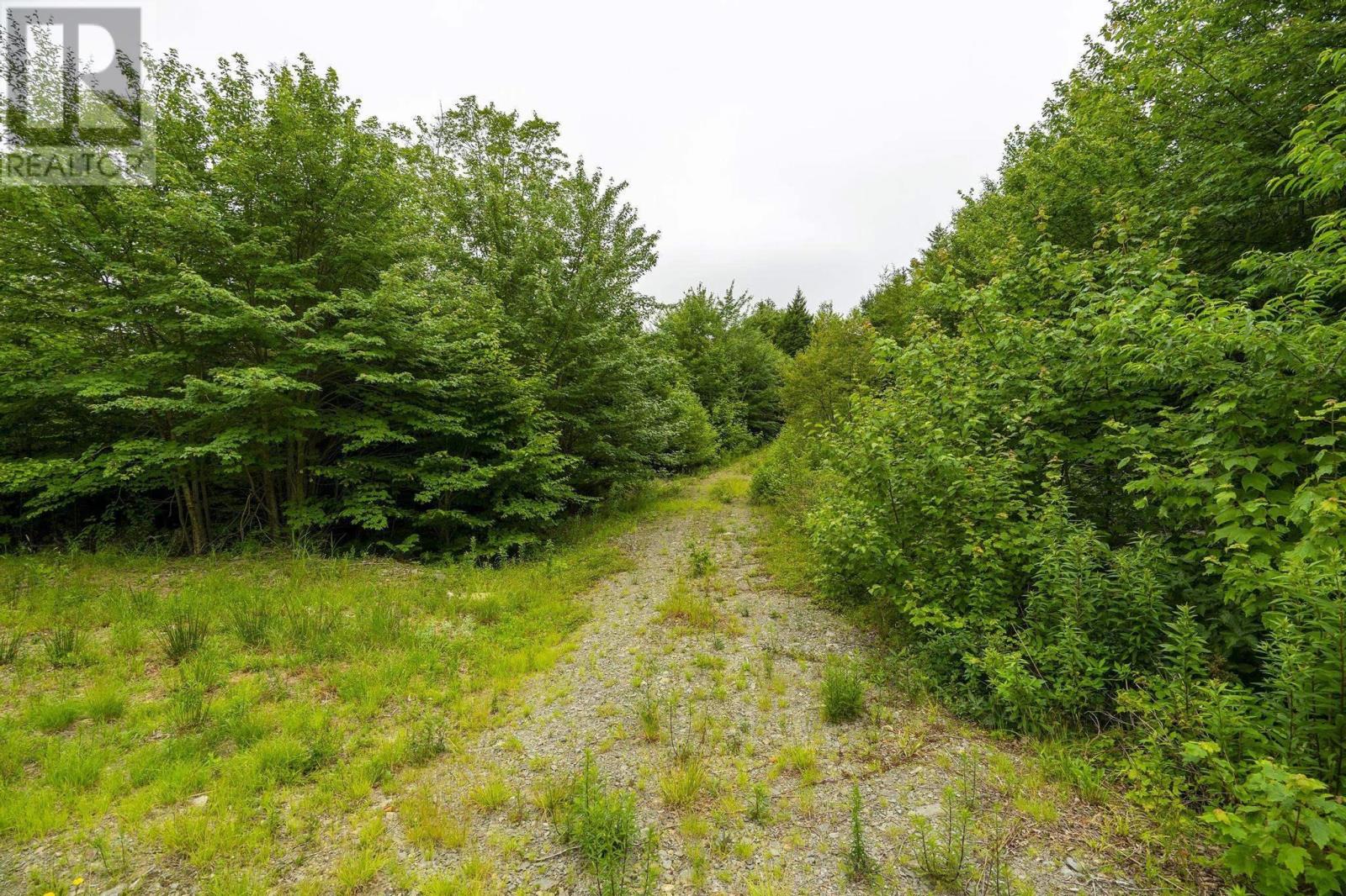 Lot 4 Highway 1, Grosses Coques, Nova Scotia  B0W 1M0 - Photo 37 - 202517595