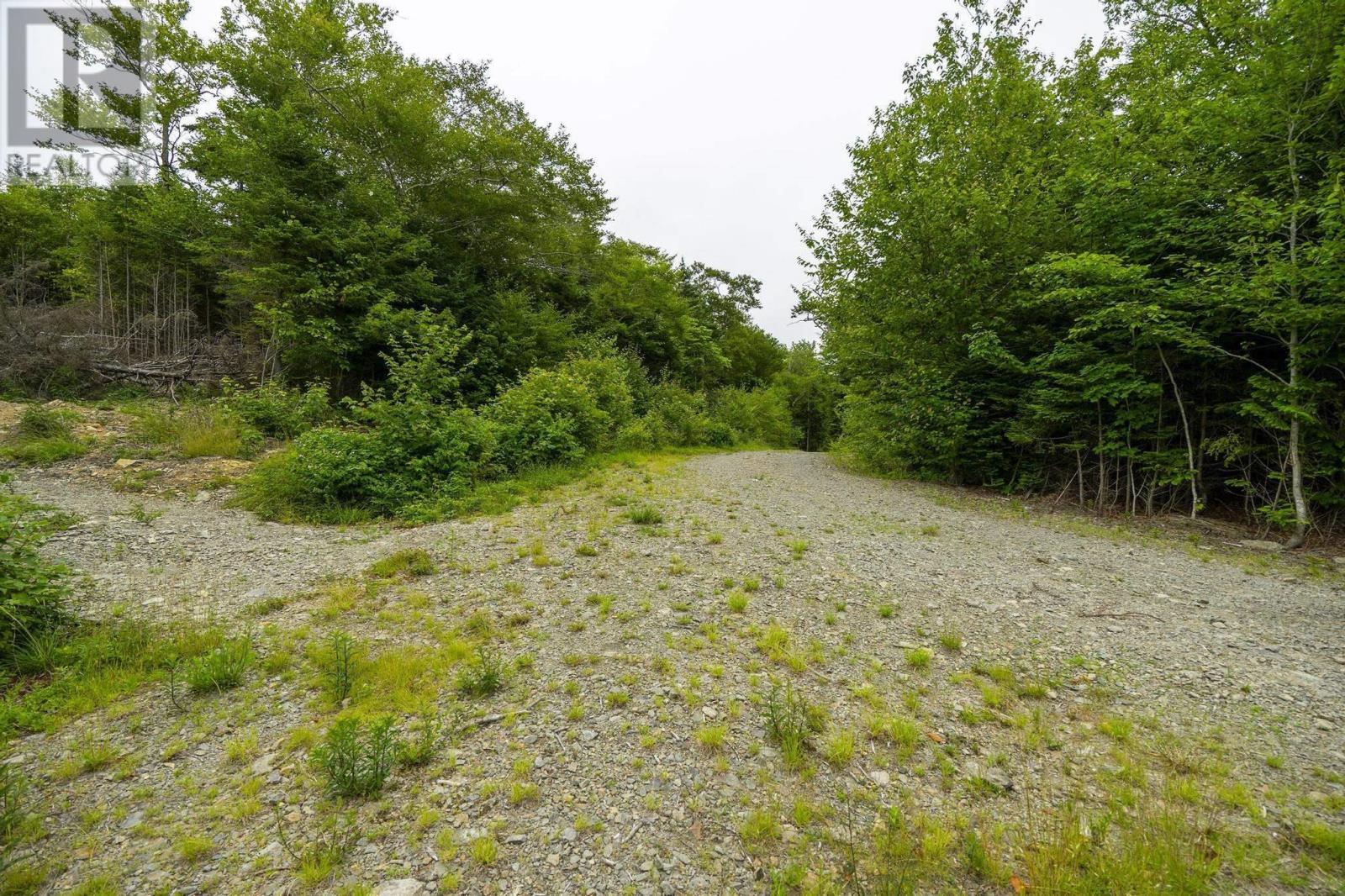 Lot 4 Highway 1, Grosses Coques, Nova Scotia  B0W 1M0 - Photo 38 - 202517595