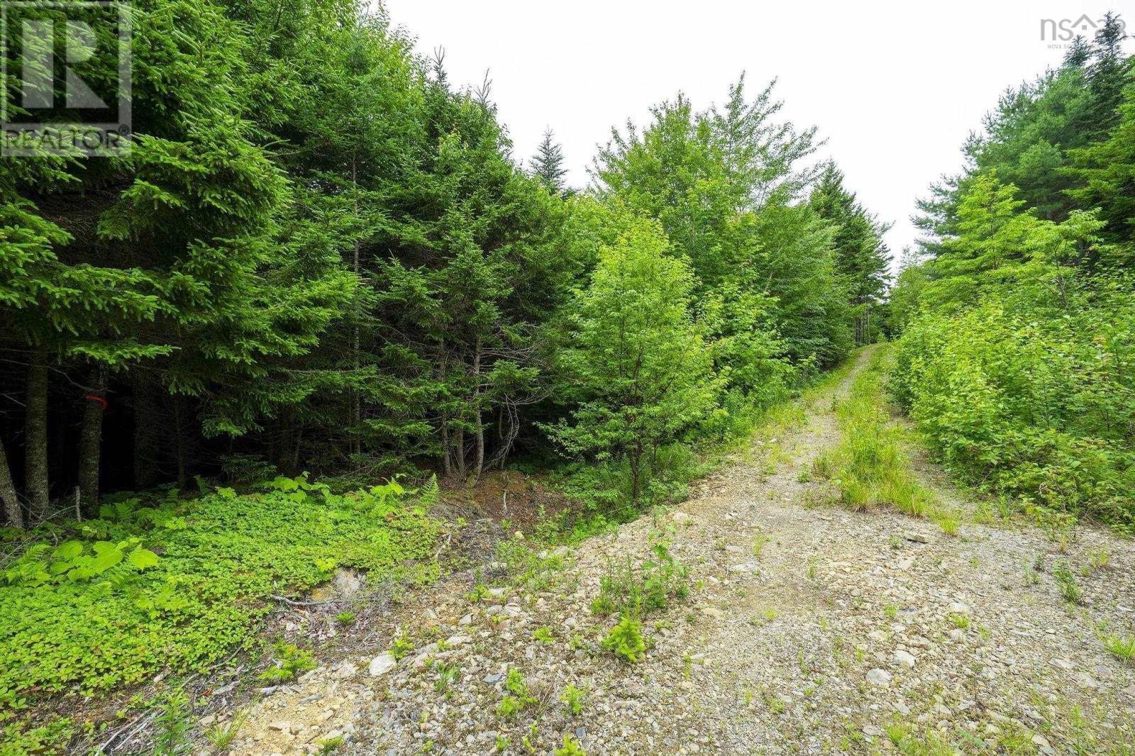 Lot 4 Highway 1, Grosses Coques, Nova Scotia  B0W 1M0 - Photo 39 - 202517595