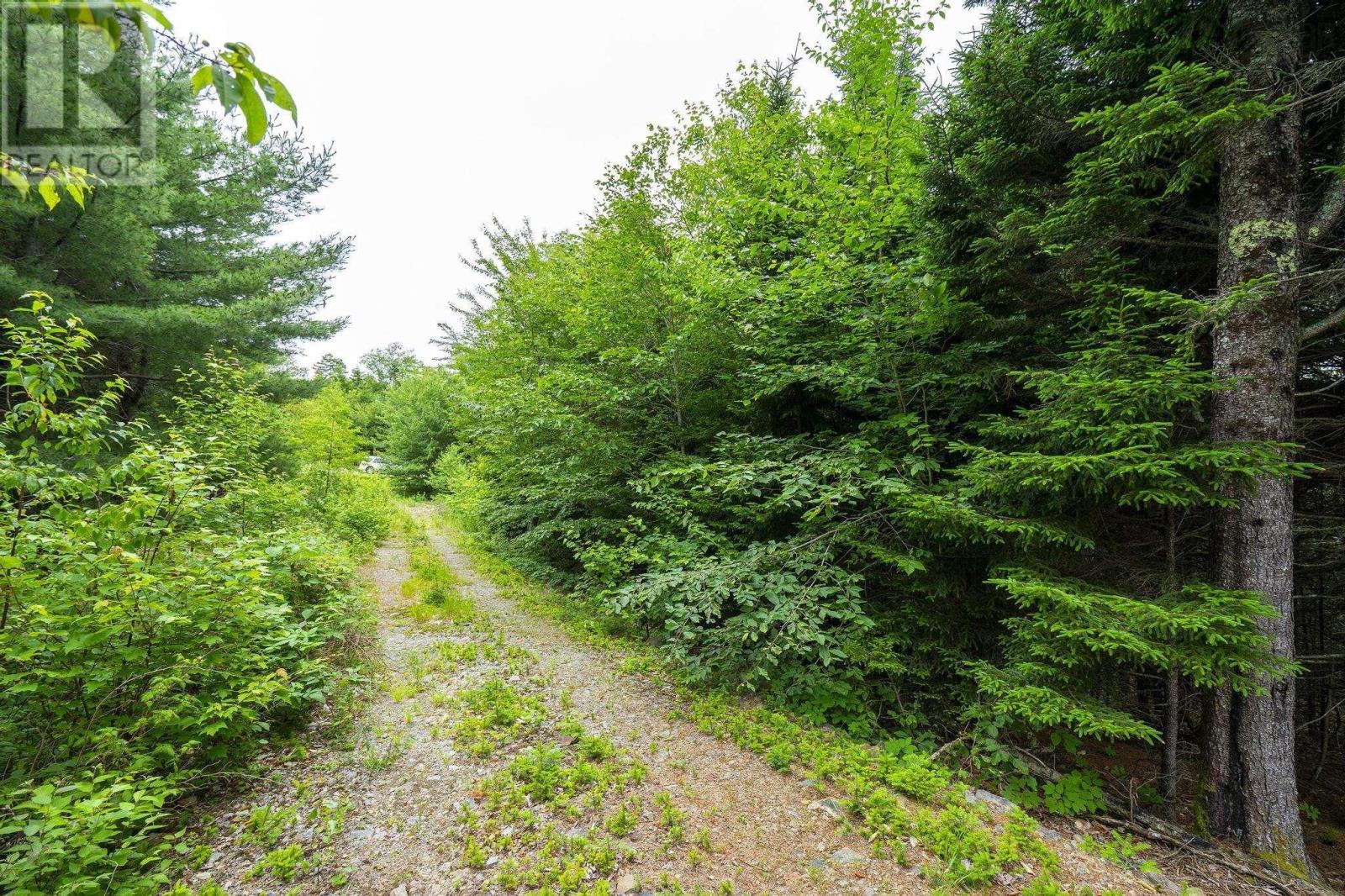 Lot 4 Highway 1, Grosses Coques, Nova Scotia  B0W 1M0 - Photo 40 - 202517595