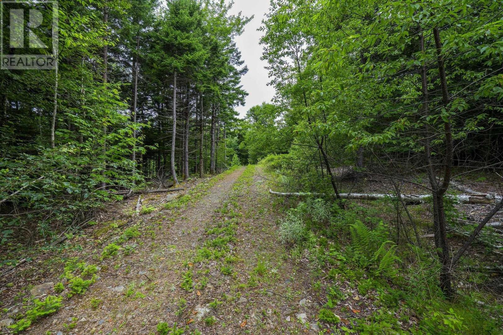 Lot 4 Highway 1, Grosses Coques, Nova Scotia  B0W 1M0 - Photo 41 - 202517595