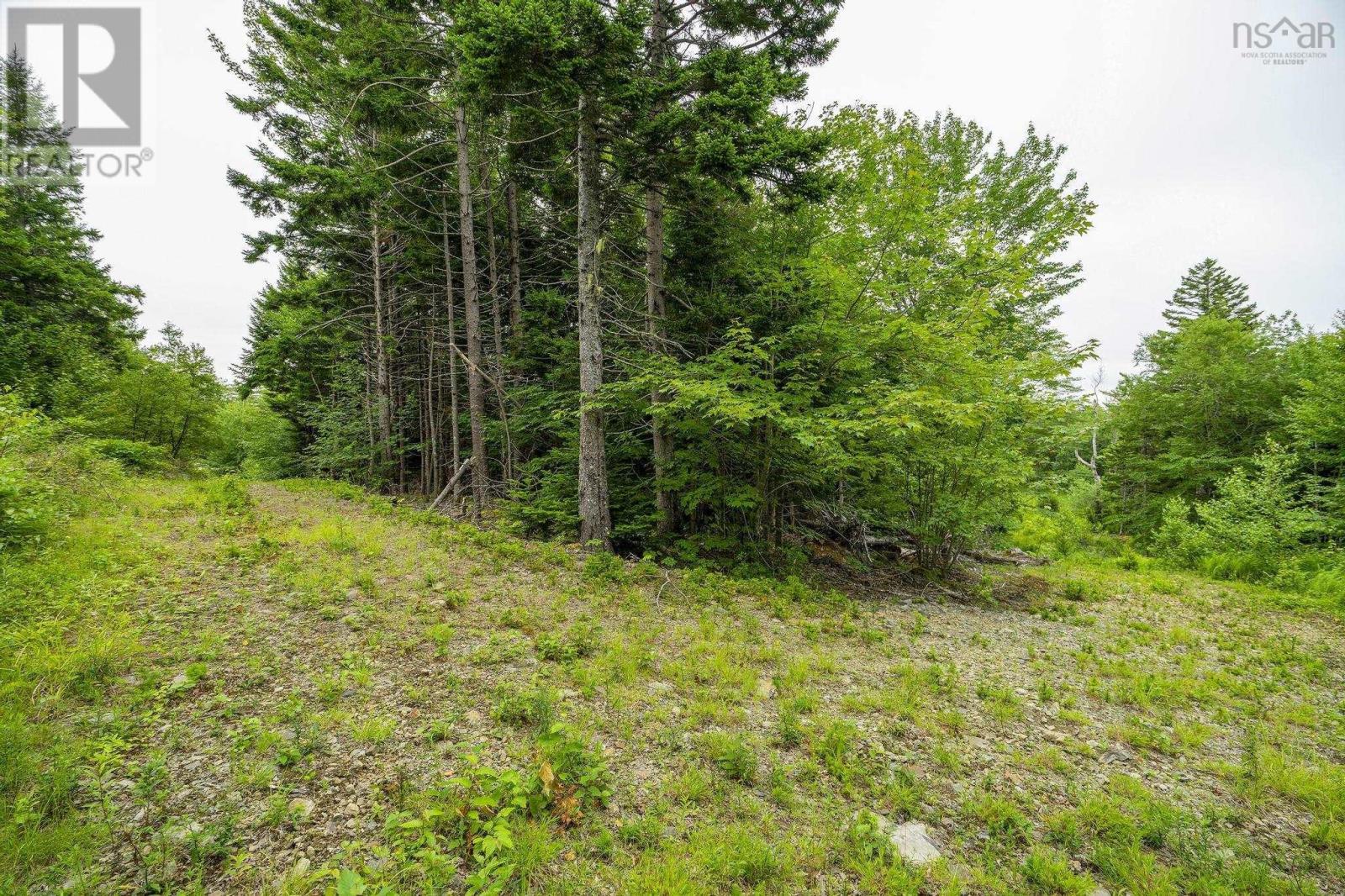 Lot 4 Highway 1, Grosses Coques, Nova Scotia  B0W 1M0 - Photo 43 - 202517595