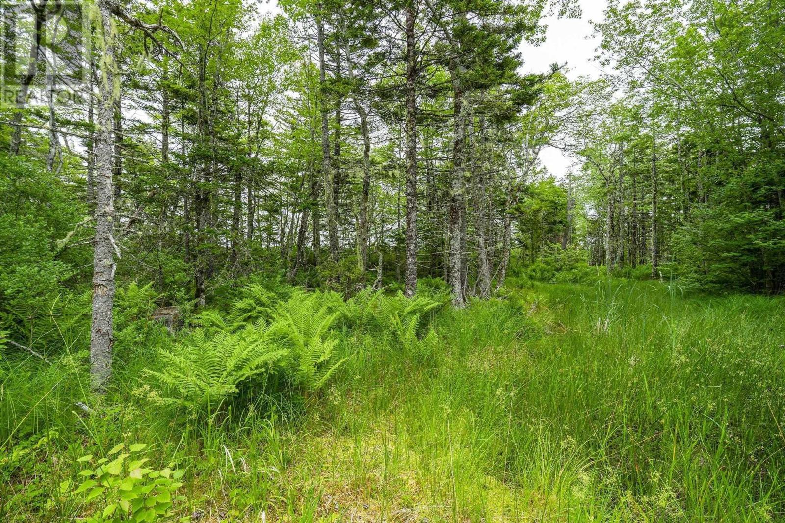 Lot 4 Highway 1, Grosses Coques, Nova Scotia  B0W 1M0 - Photo 44 - 202517595