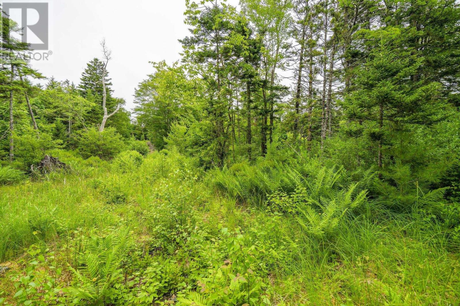 Lot 4 Highway 1, Grosses Coques, Nova Scotia  B0W 1M0 - Photo 45 - 202517595