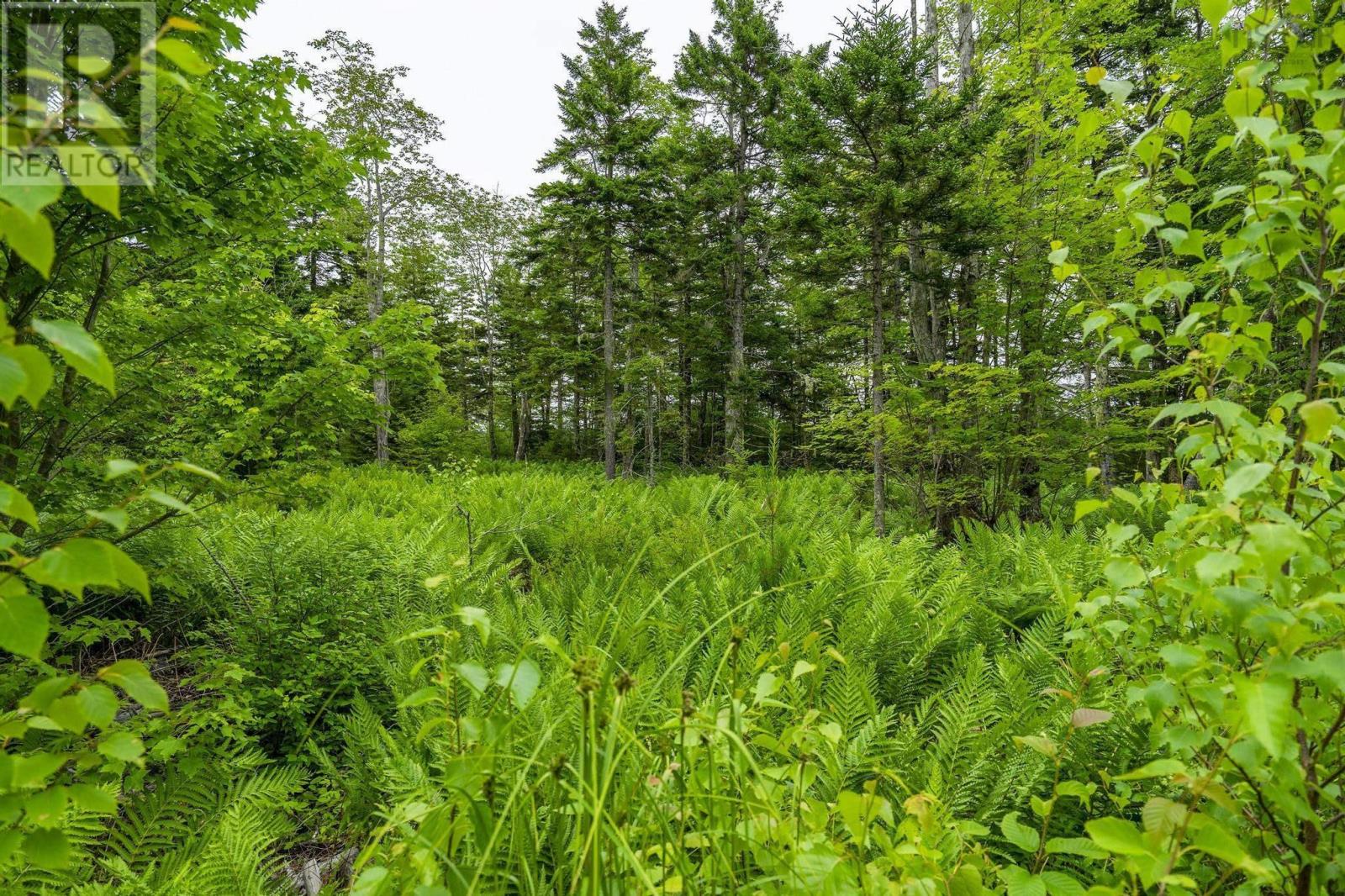 Lot 4 Highway 1, Grosses Coques, Nova Scotia  B0W 1M0 - Photo 46 - 202517595