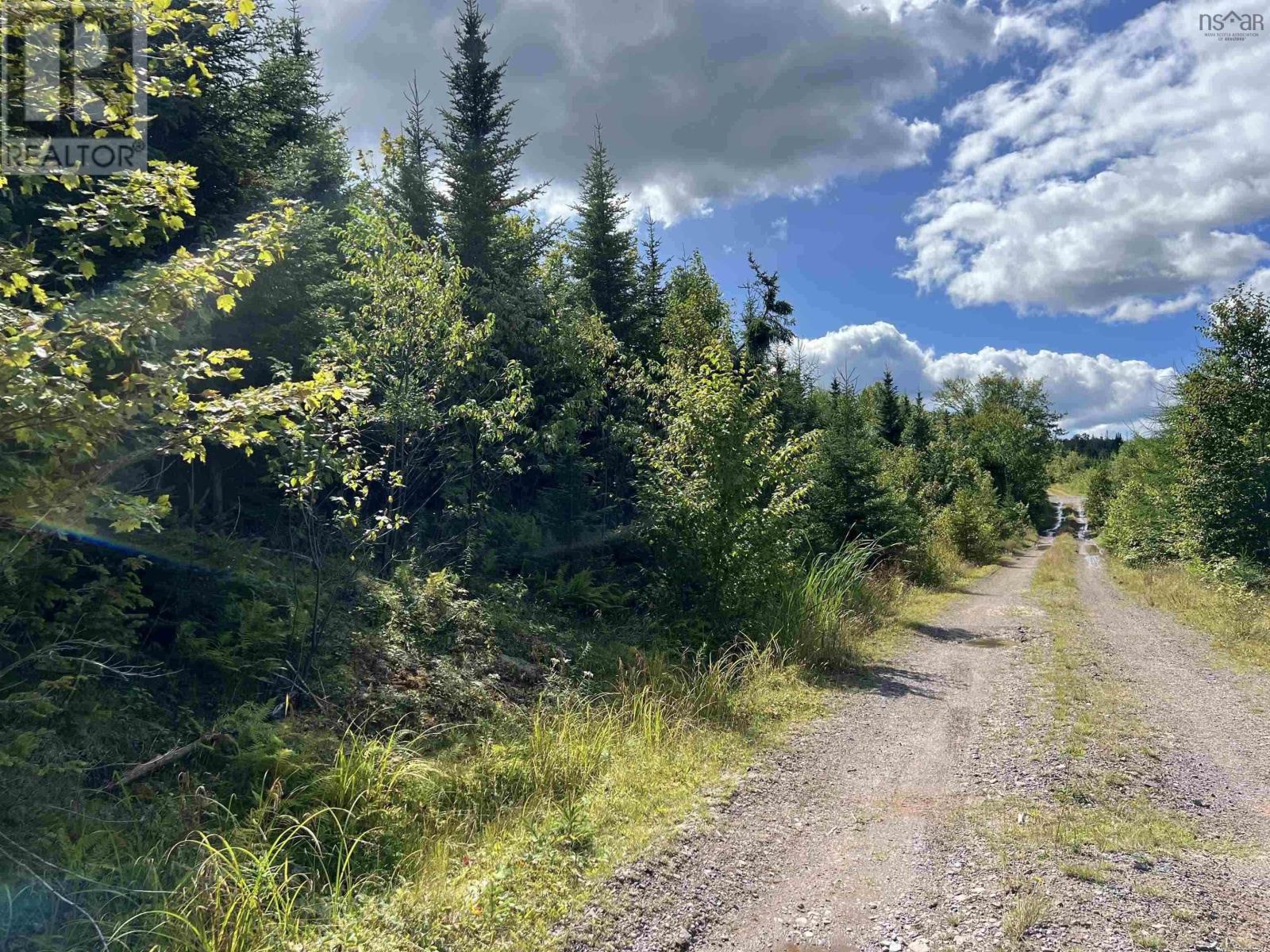 Maclean, Hunters Mountain, Nova Scotia  B0E 1B0 - Photo 2 - 202517671