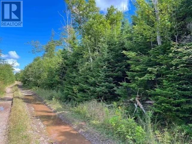 Maclean, Hunters Mountain, Nova Scotia  B0E 1B0 - Photo 4 - 202517671