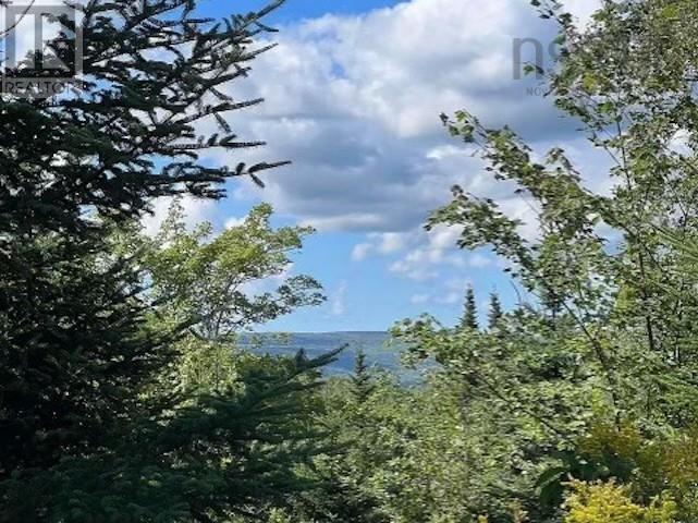 Maclean, Hunters Mountain, Nova Scotia  B0E 1B0 - Photo 5 - 202517671