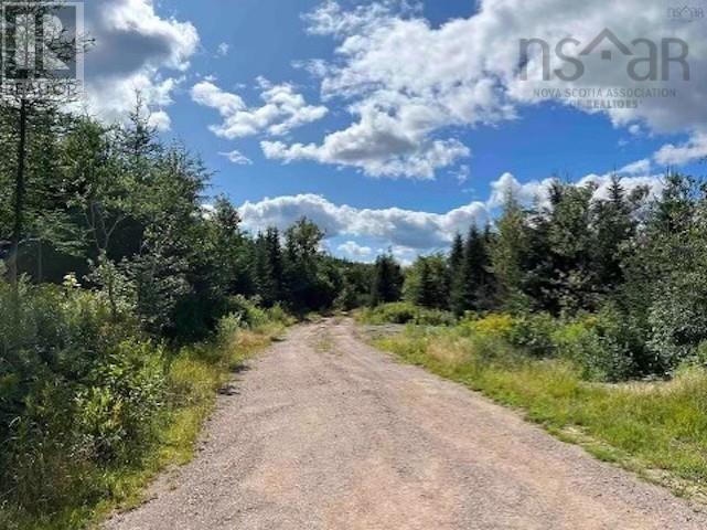Maclean, Hunters Mountain, Nova Scotia  B0E 1B0 - Photo 6 - 202517671