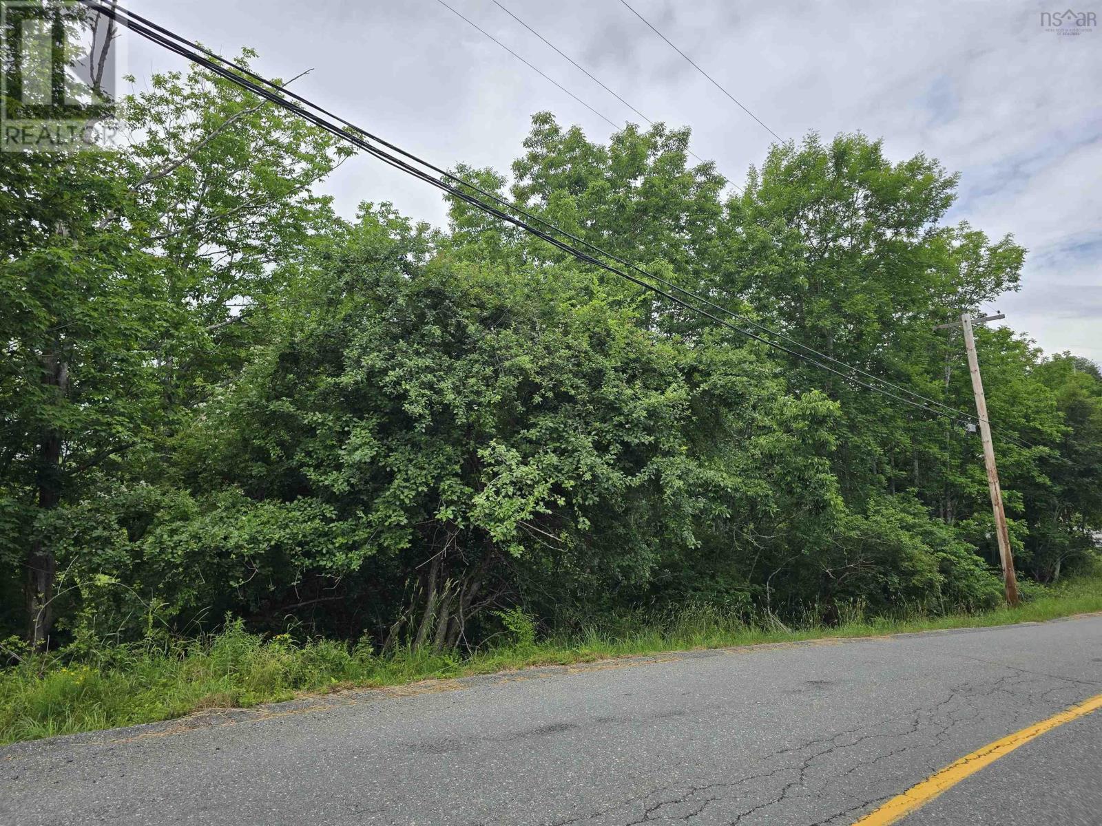 Centennial Avenue, Lunenburg, Nova Scotia  B0J 2C0 - Photo 3 - 202517685