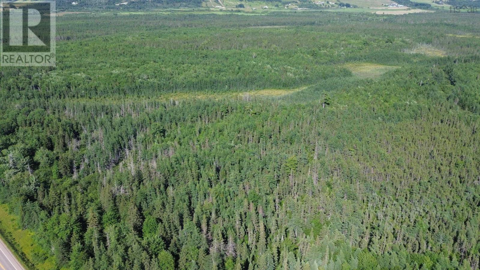 Acreage Highway 105, Kingsville, Nova Scotia  B0E 3L0 - Photo 10 - 202517706