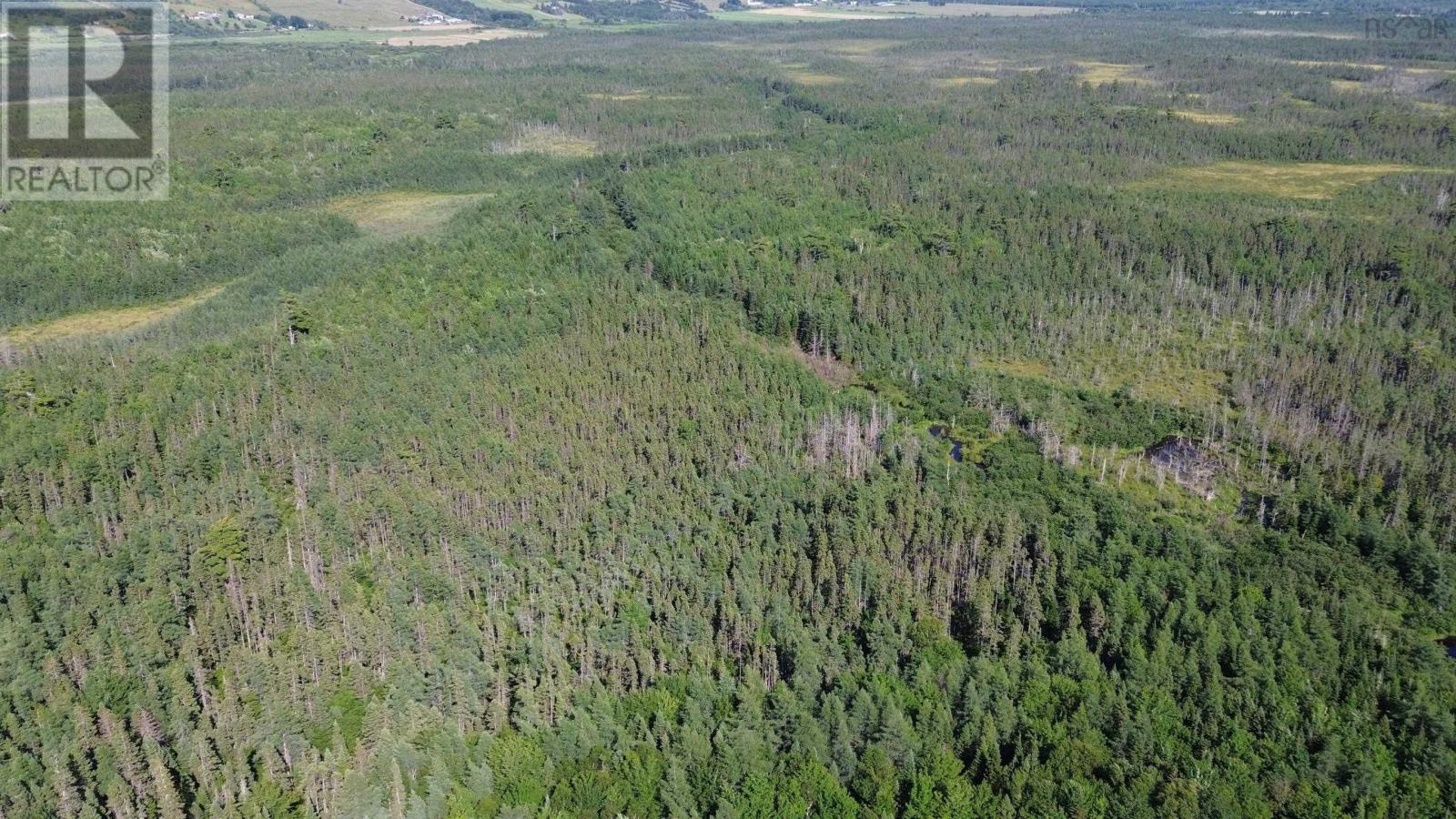 Acreage Highway 105, Kingsville, Nova Scotia  B0E 3L0 - Photo 11 - 202517706