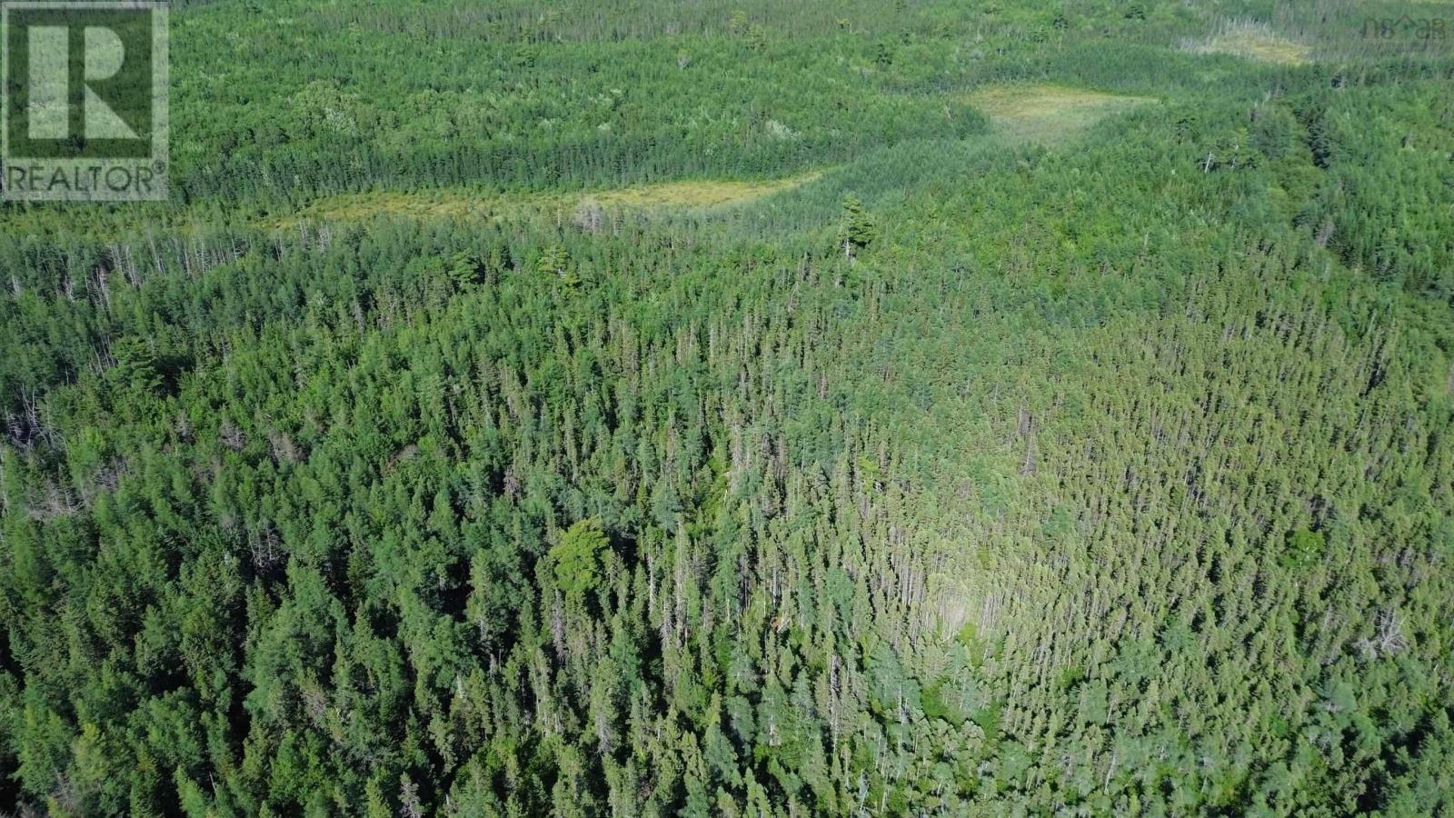 Acreage Highway 105, Kingsville, Nova Scotia  B0E 3L0 - Photo 14 - 202517706