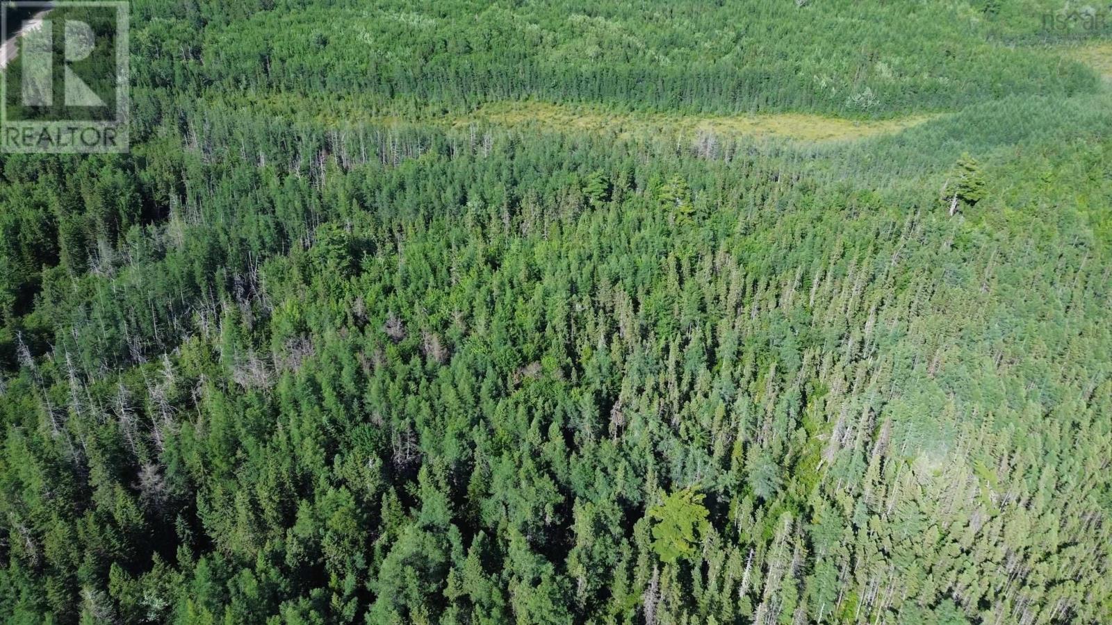 Acreage Highway 105, Kingsville, Nova Scotia  B0E 3L0 - Photo 16 - 202517706