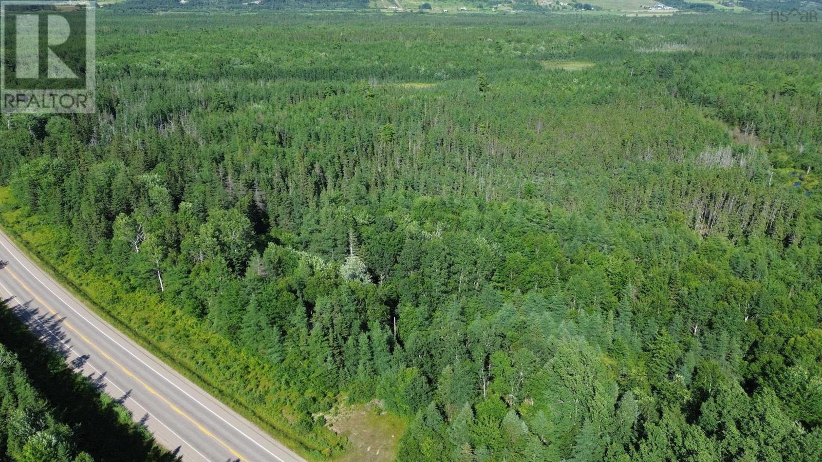 Acreage Highway 105, Kingsville, Nova Scotia  B0E 3L0 - Photo 4 - 202517706