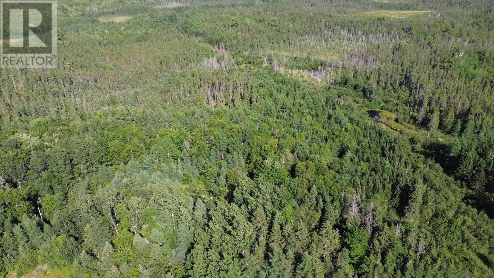 Acreage Highway 105, Kingsville, Nova Scotia  B0E 3L0 - Photo 5 - 202517706