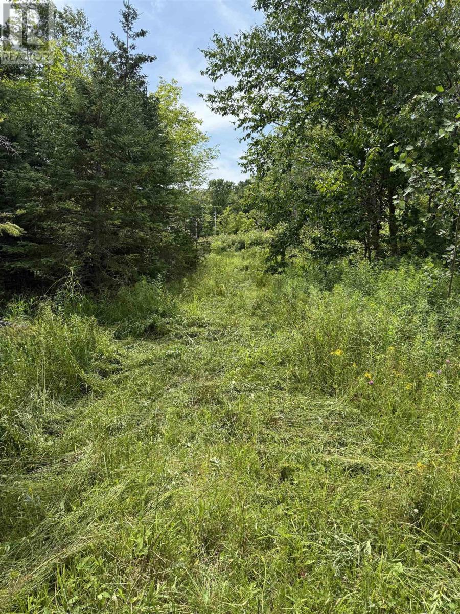 5569 Highway 105 Highway, Port Bevis, Nova Scotia  B0E 1B0 - Photo 8 - 202517794