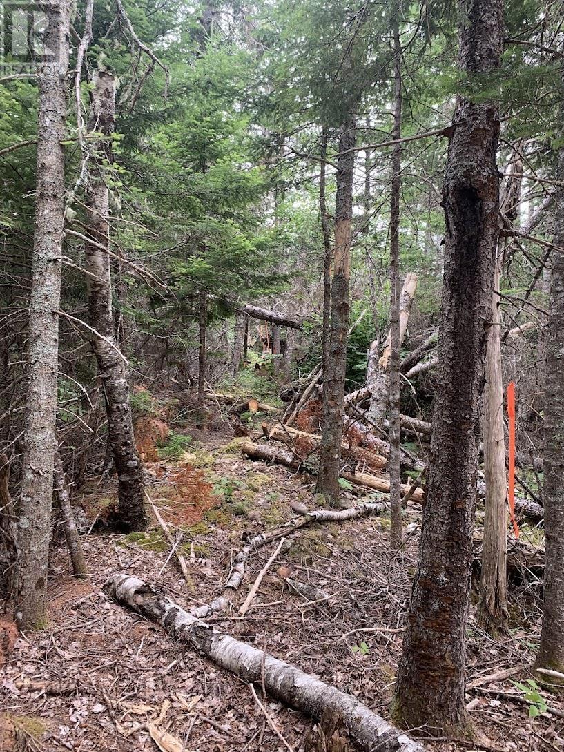 Vv2 Lot 2 Hunter Road, West Wentworth, Nova Scotia  B0M 1Z0 - Photo 3 - 202517866