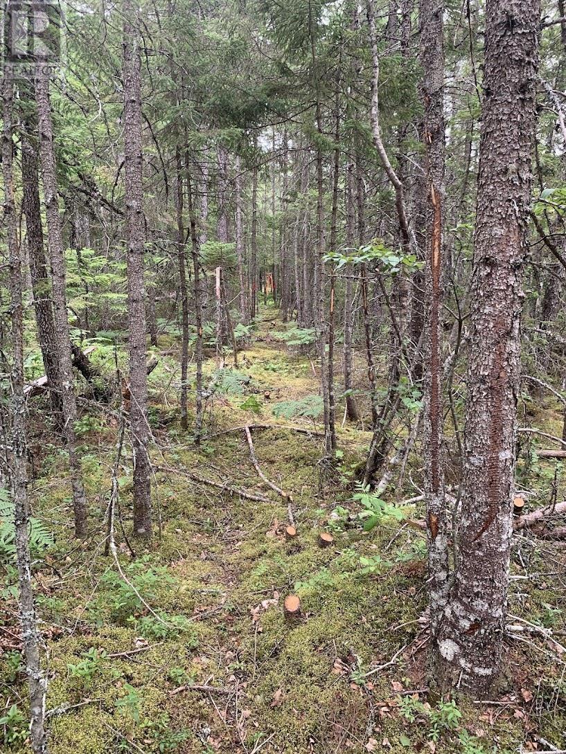 Vv4 Lot 4 Hunter Road, West Wentworth, Nova Scotia  B0M 1Z0 - Photo 5 - 202517868