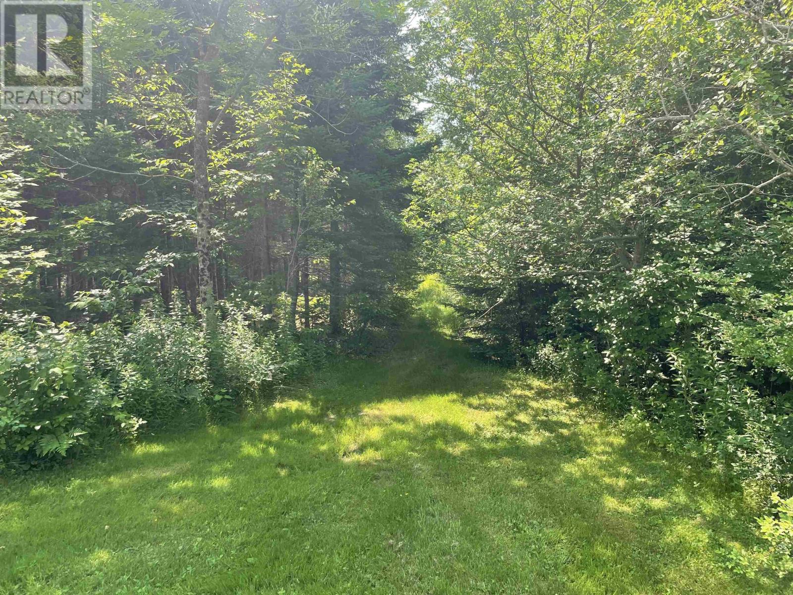 2420 Marble Mountain Road, West Bay, Nova Scotia  B0E 3K0 - Photo 16 - 202517885